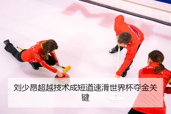 liu-shao-ang-chao-yue-ji-shu-cheng-duan-dao-su-hua-shi-jie-bei-duo-jin-guan-jian-3-344.jpg