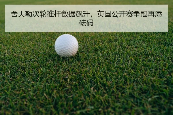 she-fu-lei-ci-lun-tui-gan-shu-ju-biao-sheng-ying-guo-gong-kai-sai-zheng-guan-zai-tian-fa-ma-3-129.jpg