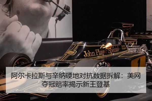 a-er-ka-la-si-yu-xin-na-ying-di-dui-kang-shu-ju-chai-jie-mei-wang-duo-guan-pei-lv-jie-shi-xin-wang-deng-ji-2-215.jpg