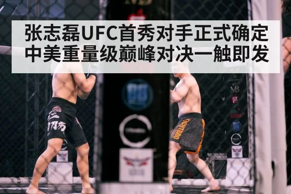 MMA cage fight